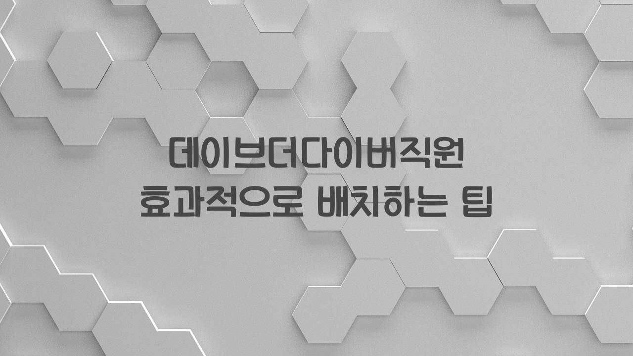 데이브더다이버직원