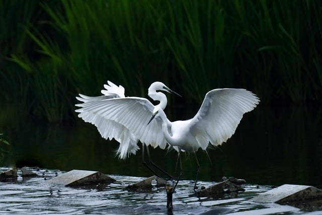 2025년 설특선영화 라인업 | SBS·KBS·MBC 시간표 (파묘, 서울의 봄, 범죄도시4)