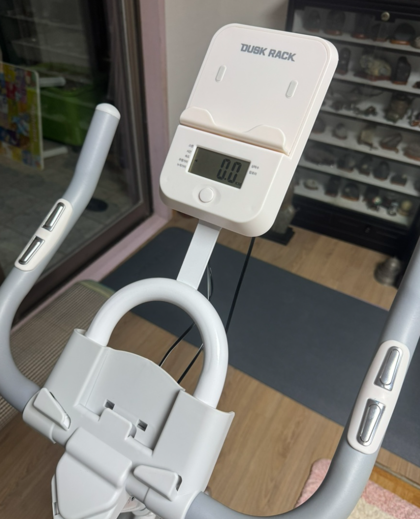 터닝바이크 ACO 내돈내산 효과