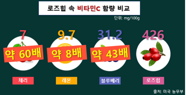 로즈힙퓨레