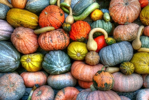 호박씨껍질 먹어도 될까?