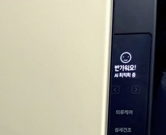 삼성전자 비스포크 에어드레서 DF10A9500EG