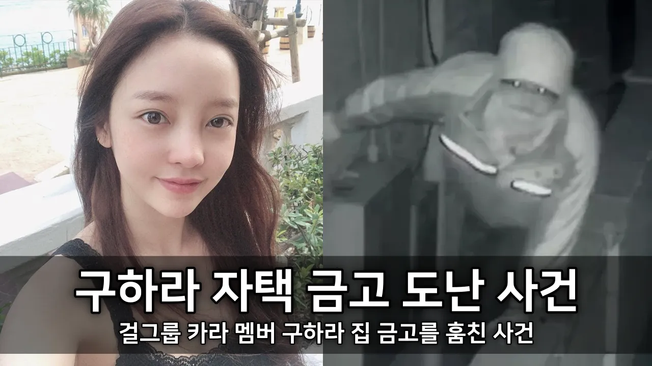 구하라 자택 금고 도난 사건 - 걸그룹 카라 멤버 구하라 집 금고를 훔친 사건