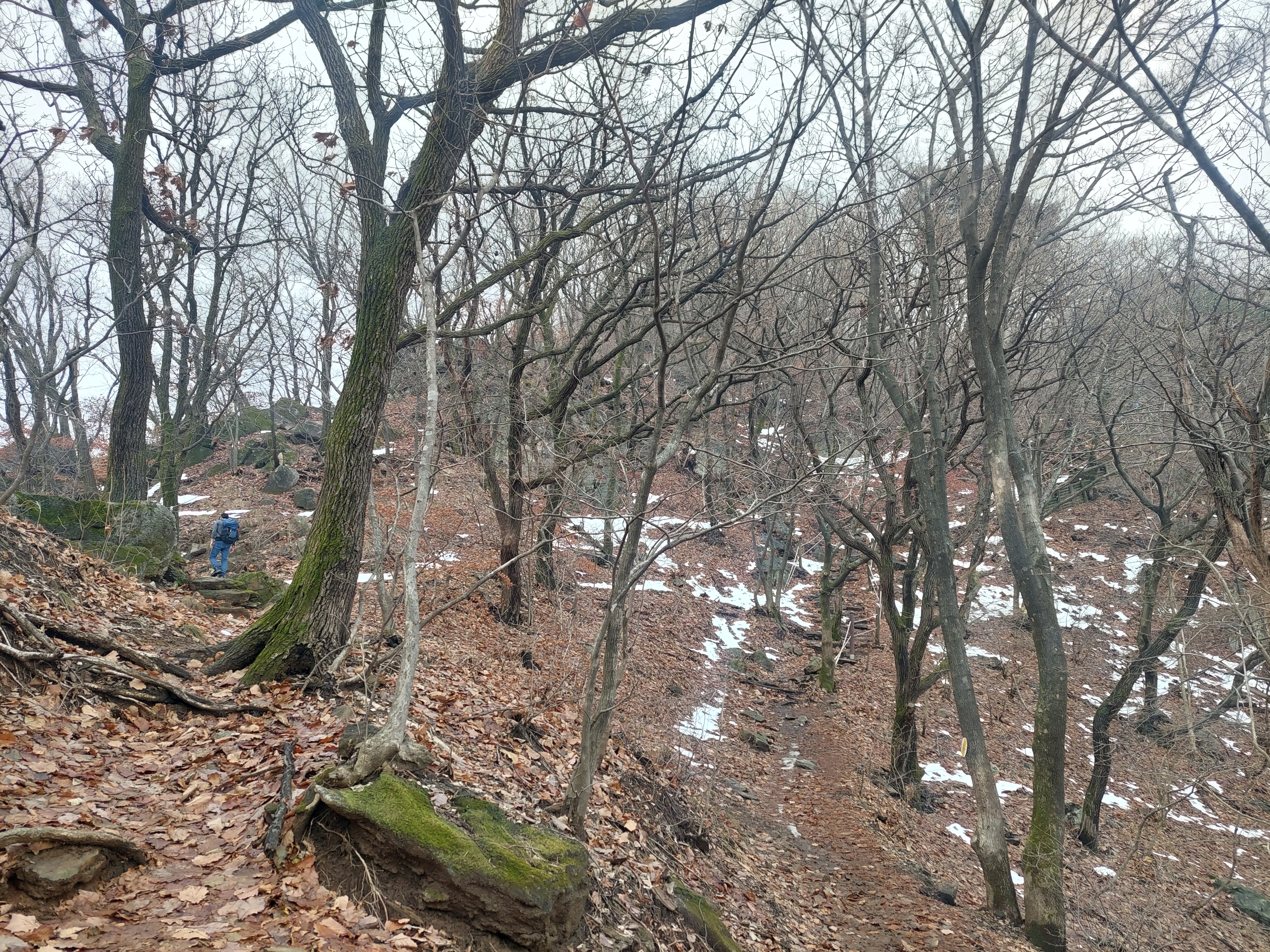 검단산