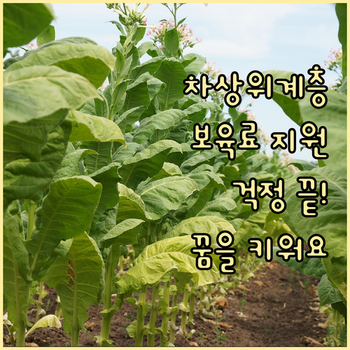 차상위계층 자녀, 이제 걱정 없이! ..