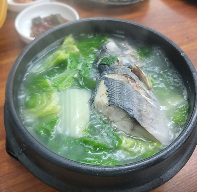 제주 전농로 근처 맛집 추천 벚꽃여행 소도리왕뼈다귀 제주냉삼시대 모던그릴 옛날홍가네칼국수 원영식당 킷사핫피엔도 호성식당 북경반점 모렐로제주 명동찌개마을