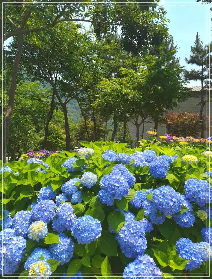 batch_Resized_20250610_114557_1749619879687