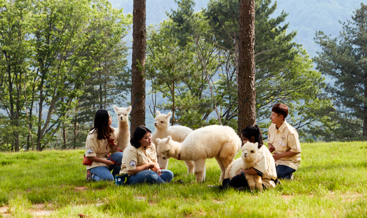 홍천 가볼만한곳 베스트10 추천