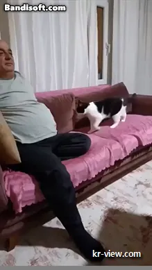 img.webp?credential=yqXZFxpELC7KVnFOS48ylbz2pIh7yKj8&expires=1767193199&allow_ip=&allow_referer=&signature=TBrL15wLgnmz4nnmA8p427g%2FjbU%3D