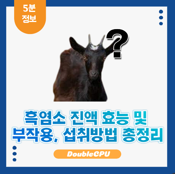 흑염소 진액