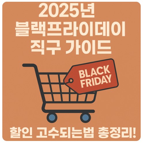 2025 미국 블랙프라이데이