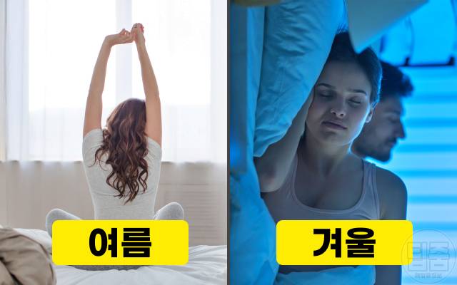 겨울 수면시간,일조량,피로감