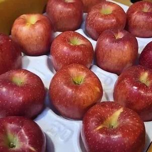 못난이 과일