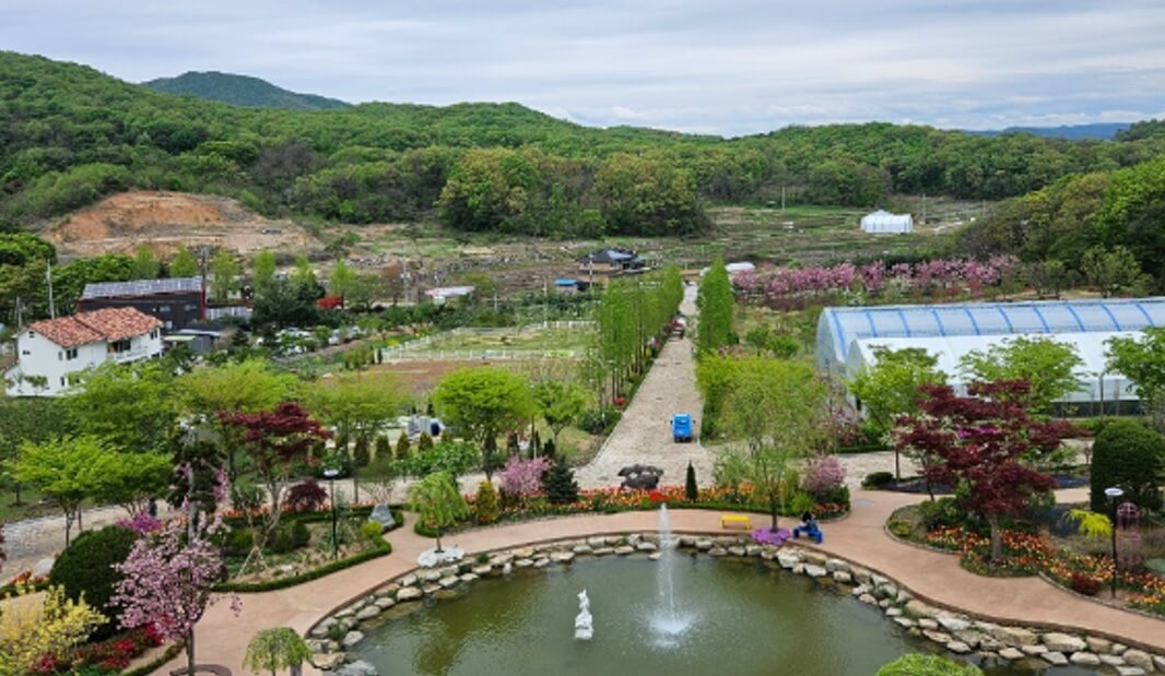 생생정보 택시맛객 용인여행 용인자작나무숲 봄꽃축제 실내스카이다이빙체험 족발맛집 평원집 