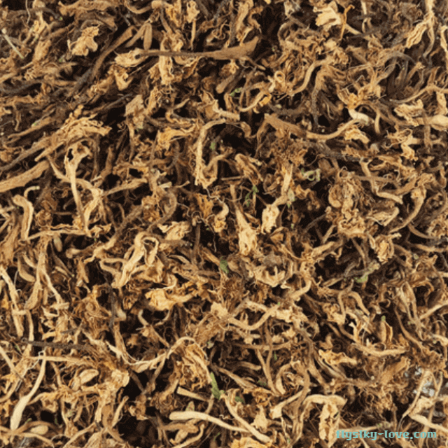 말린 금은화 꽃잎