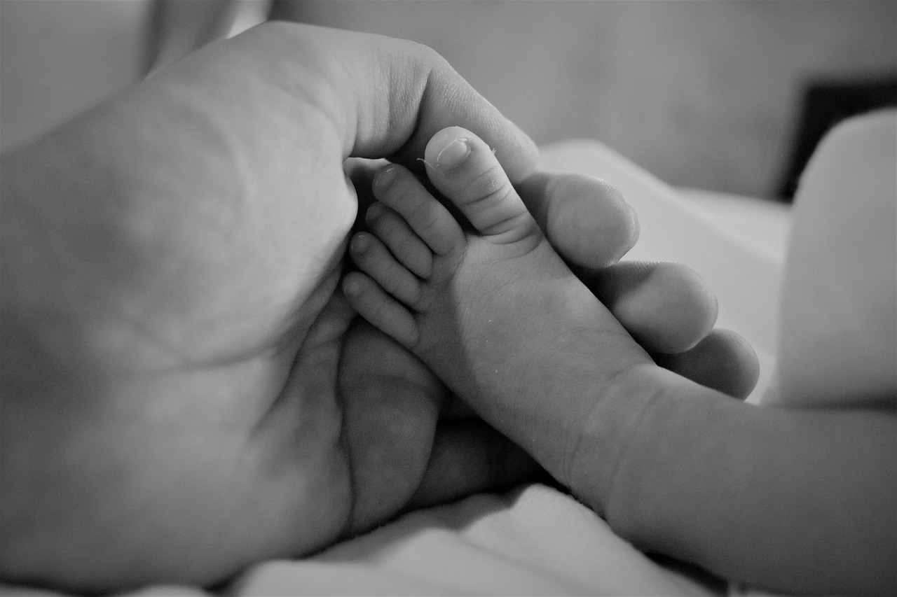 양육비 이행관리원, 양육비 강제 집행 가능할까?