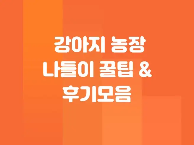 강아지 농장 나들이 꿀팁 &amp; 후기 모음 (입장료, 체험 정보 총정리)