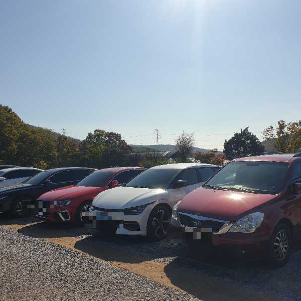 고양 카페 다위스(DAWIS): 맛에 대한 고집과 애견 동반이 가능한 카페_주차공간