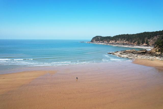 태안 해수욕장 사진