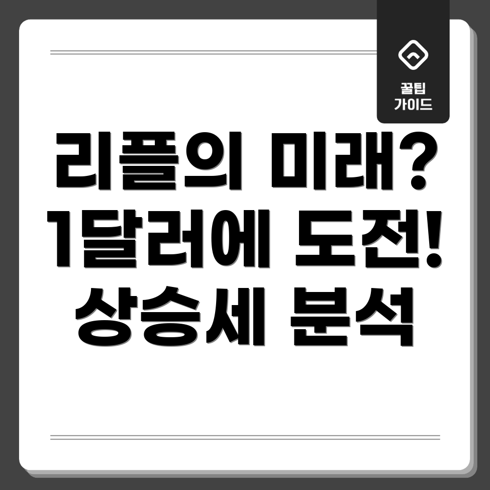 리플의 1달러 돌파 가능성