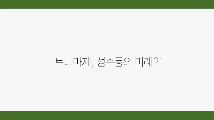[부동산 시장 전망]트리마제, 성수동의 럭셔리 아파트로 자리 잡을까?