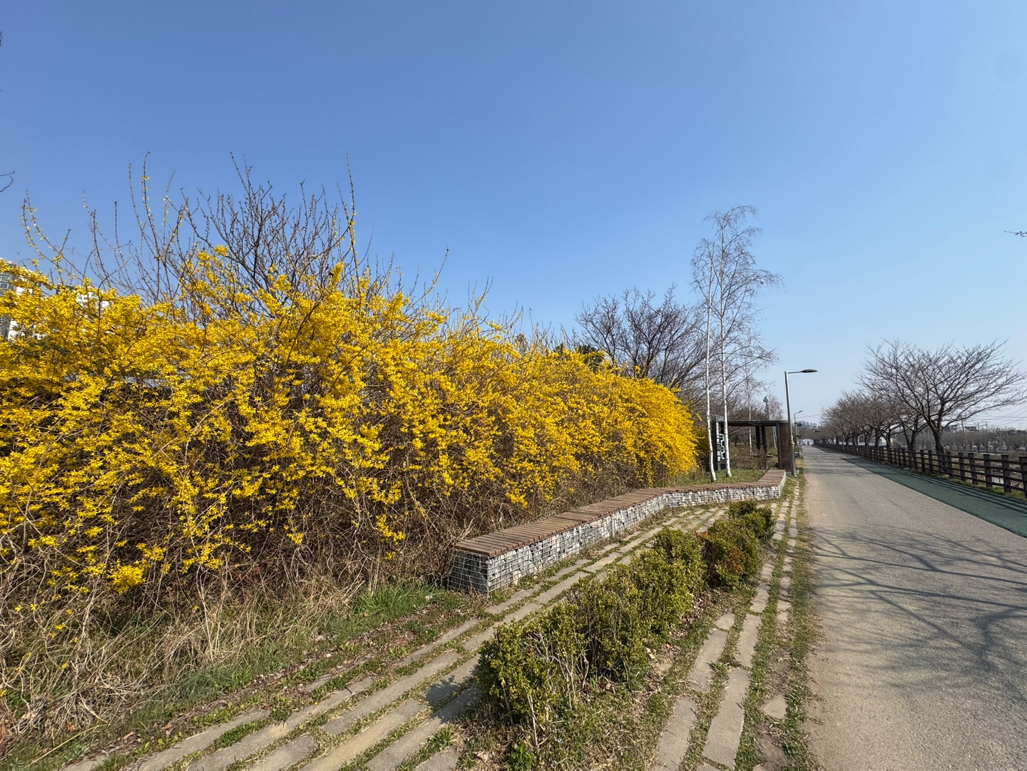 계양천 산책로