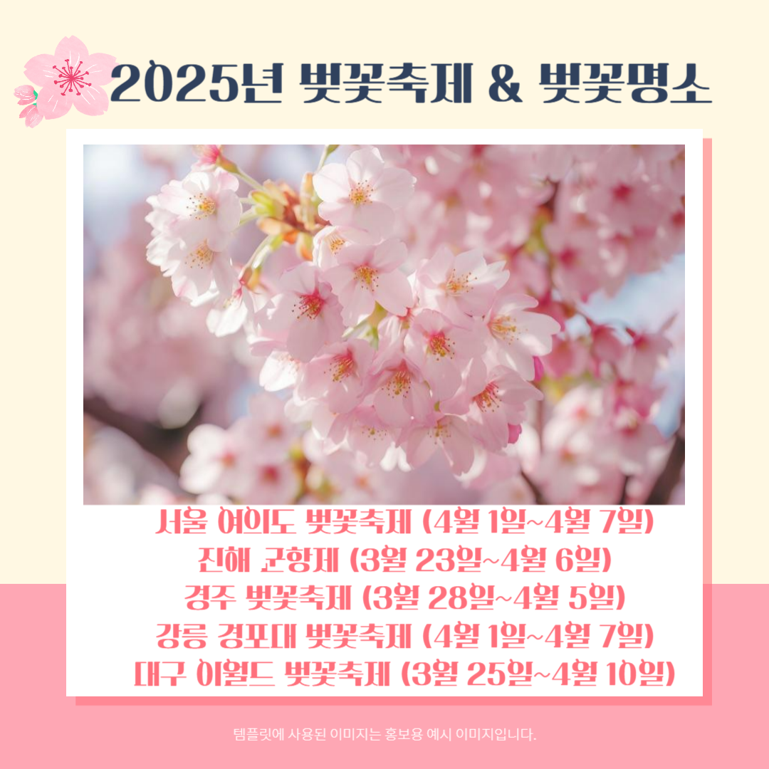 2025 벚꽃명소 벚꽃축제