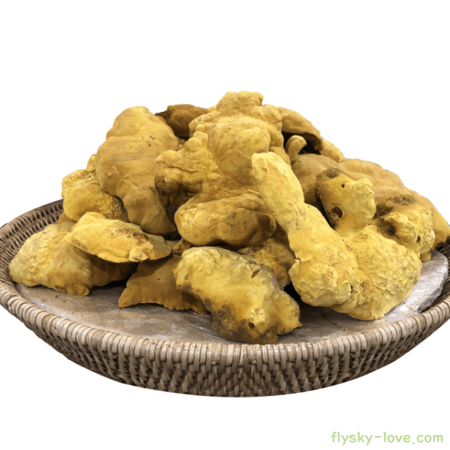 상황버섯 고르는 법