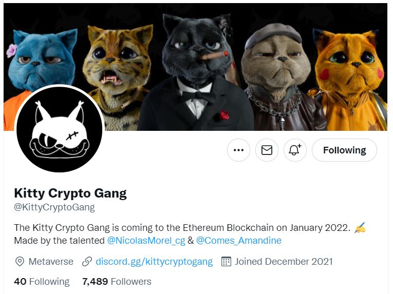 키티 크립토 갱 트위터