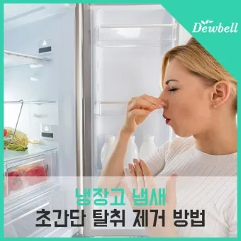 냉장고 냄새 김치통 밀폐와 랩 씌우기 식재료 분리 정리_10