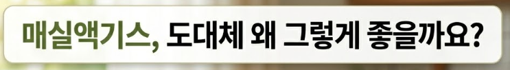 매실액기스 효능