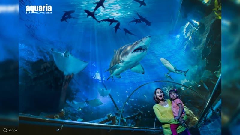 쿠알라룸푸르 아쿠아리아 KLCC 입장권 예매 할인 말레이시아