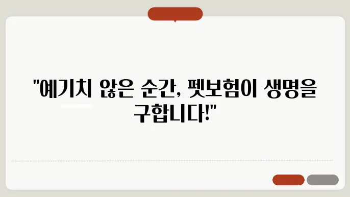 응급 상황 대비, 펫보험의 중요성