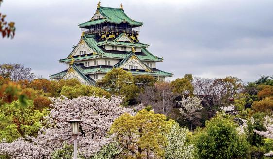 오사카 돈키호테 쇼핑리스트