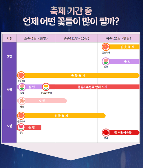 2025 피나클랜드 불꽃축제 총정리