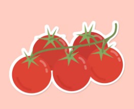 스테비아-방울-토마토-칼로리-2