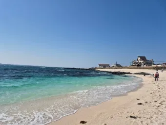 제주 우도 섬일주 여행 스쿠터 자전거로 알차게 즐기기_7