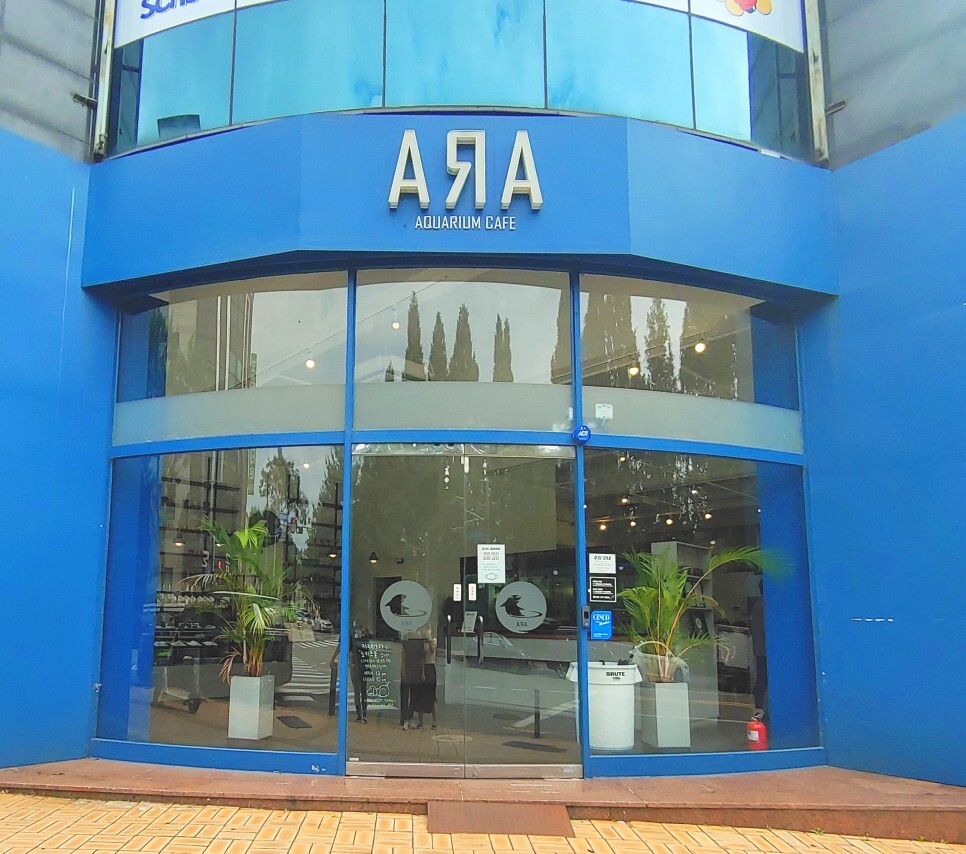 수원 영통역 수족관 카페아라