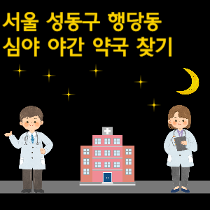서울 성동구 행당동 심야 야간 24시 약국 찾기