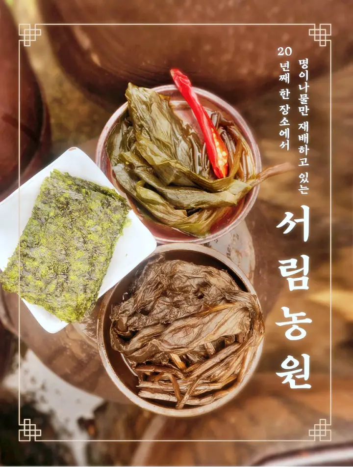 정선 명이나물 부부의 쿵짝 인생 생 명이나물 명이김 명이장아찌 파는 곳 온라인 전화주문 택배 판매