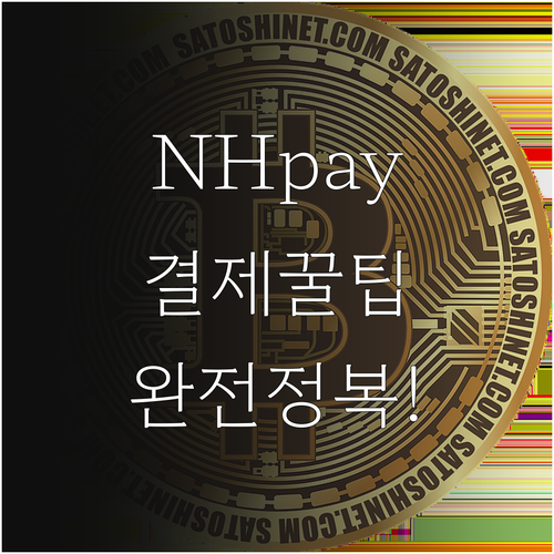 NH pay 어플 다운로드와 스마트폰..