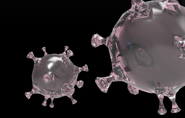 면역체계 강화에 도움이 되는 비타민A