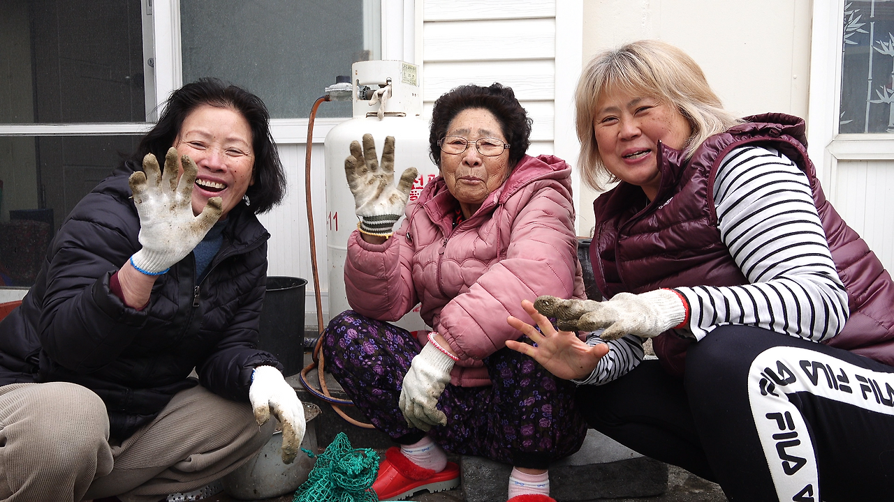 KBS1 ‘인간극장’ 5부작 〈비양도 세 모녀〉