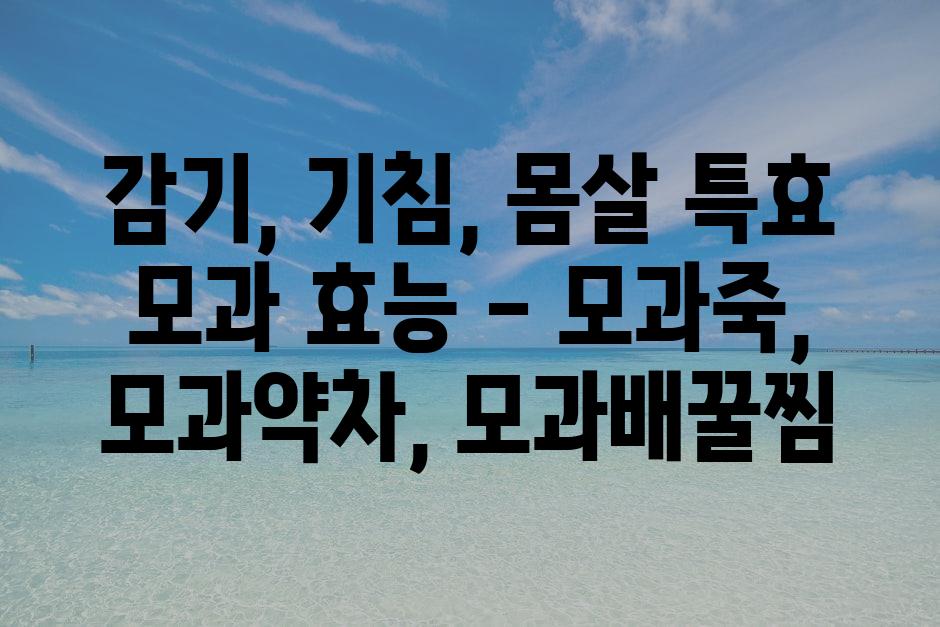 샘플 (3)