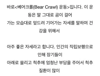 웃기는 유머 재밌는 유머 모음 웃기는 사진 10선_19