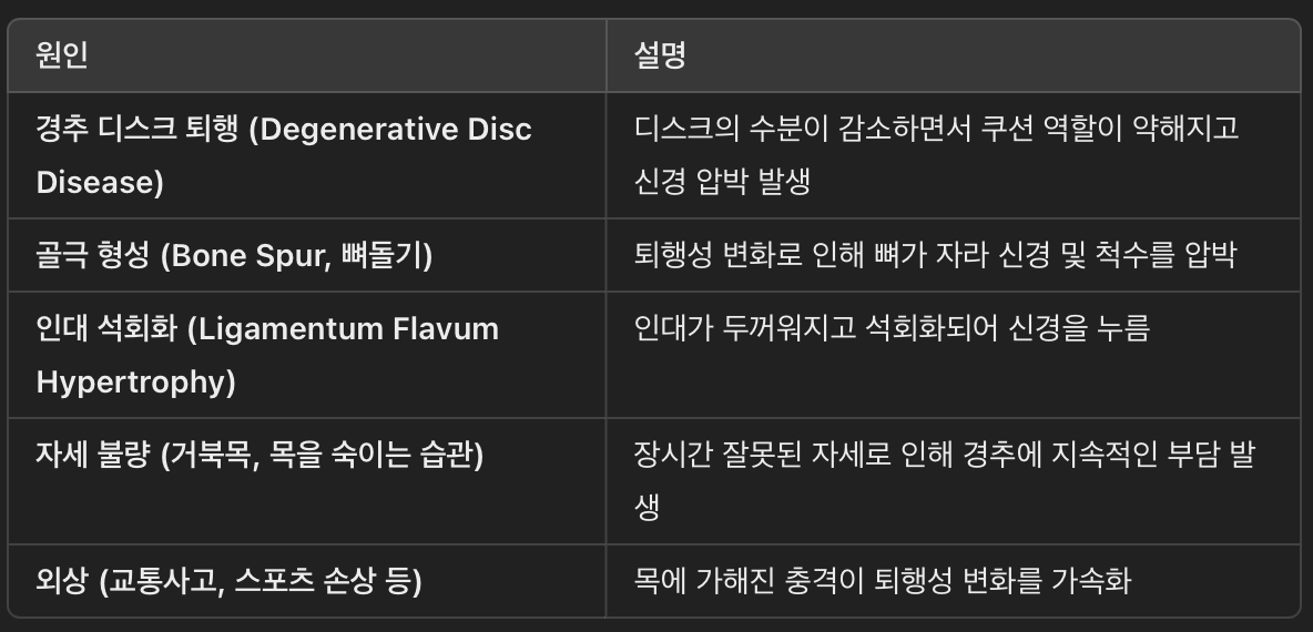 경추 척추증의 원인