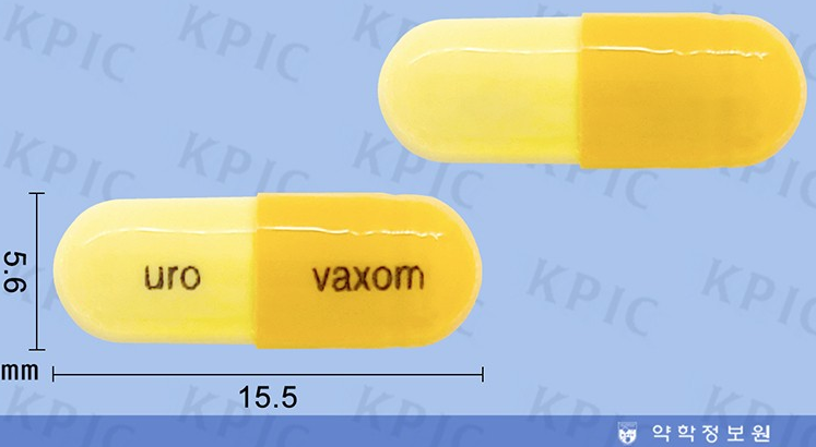 유로박솜캡슐로 재발성 요로감염 치료하기: 주의사항 및 사용법