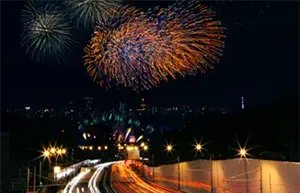 여의도불꽃축제 불꽃 장면 7