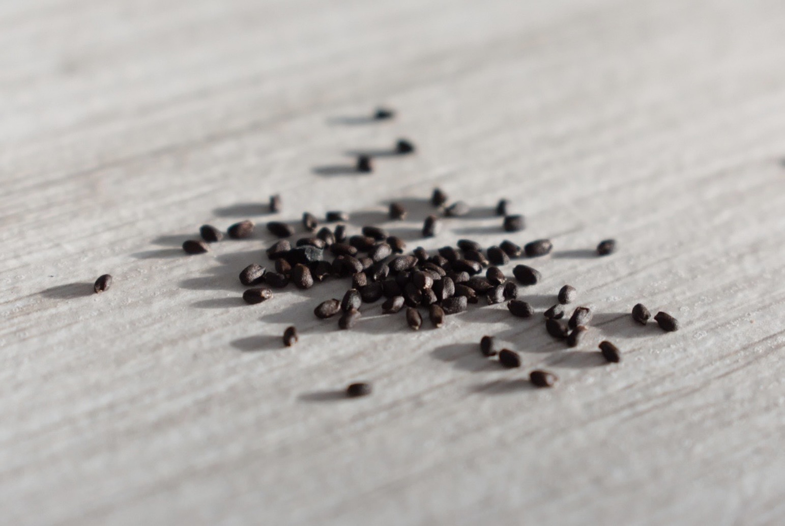 씨앗을 통해 바라보는 인생