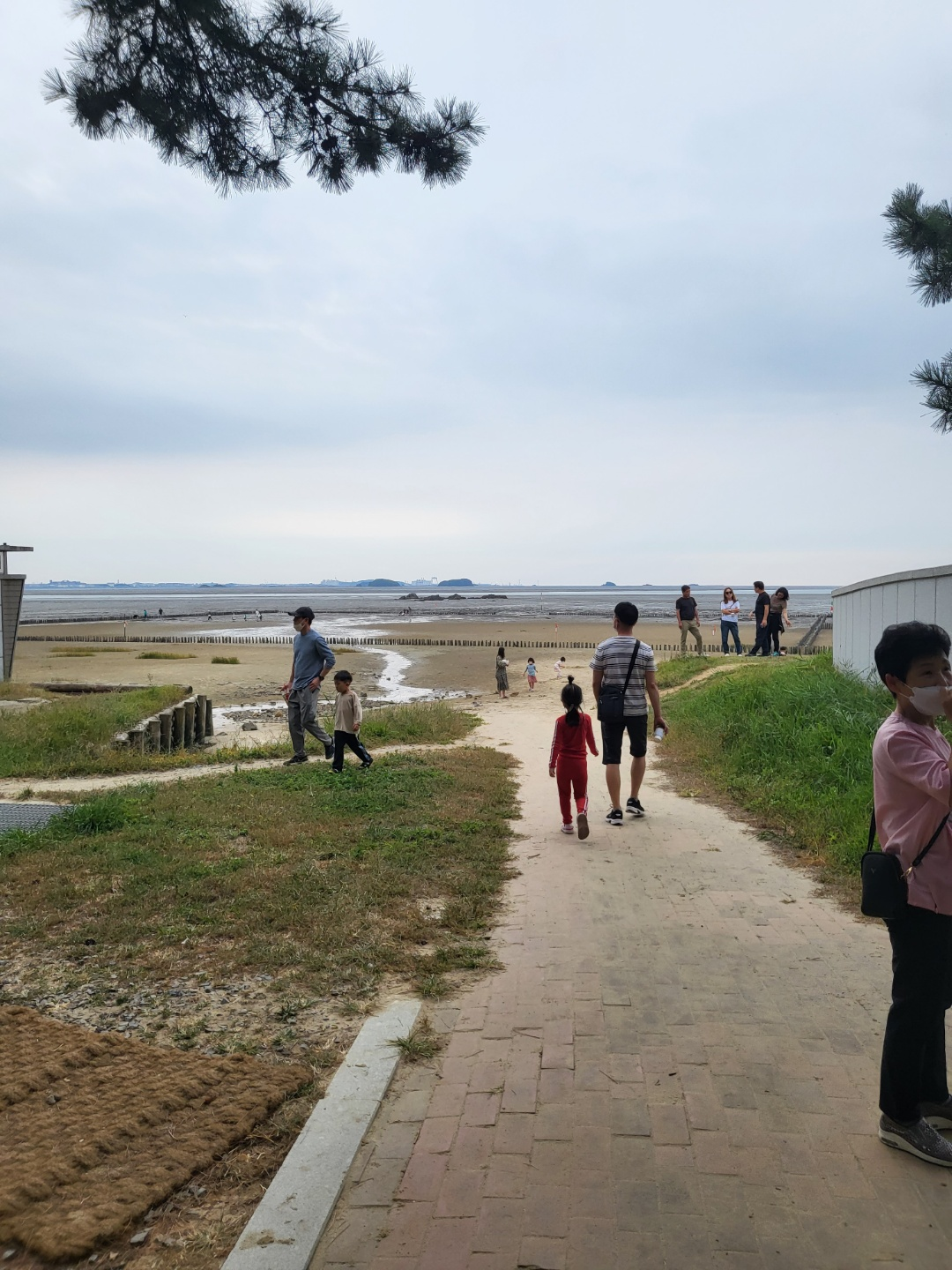 서천 갯벌체험&amp;#44; 모시조개 캐기 (서천송림갯벌체험장)